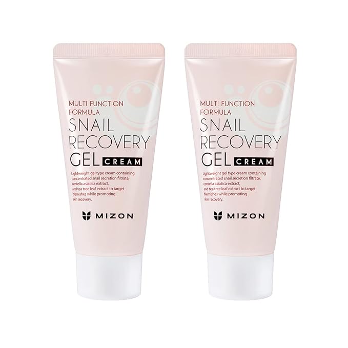 MIZON Set of Two Snail Recovery Gel Cream Snail Mucin for Fine Lines Skin Elasticity Moisture Fragrance-Free Korean Skincare(45ml 1.52 fl.oz -Pack of 2)