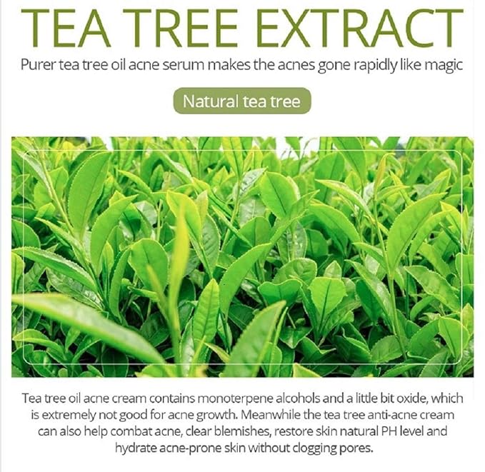 Premium TEA TREE SERUM (Big Size 2 Oz/60 ml) Oil for Acne, 20% Vitamin C & B3 MSM Hyaluronic Acid Retinol Salicylic Acid Niacinamide Acne Scar Treatment Anti Aging Wrinkle Dark Spots Blemishes Pimple