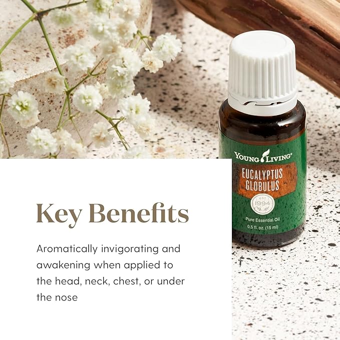 Young Living Eucalyptus Globulus Essential Oil, 15ml | Natural & Organic | Soothing & Cooling Aroma | Skin Massage | Spa-Like Aromatherapy | Can Be Inhaled or Diffused | Vegan & Gluten-Free