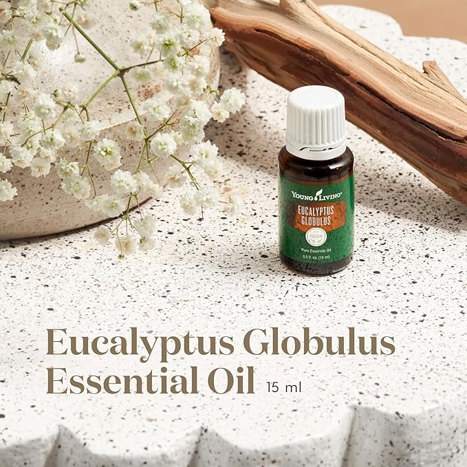 Young Living Eucalyptus Globulus Essential Oil, 15ml | Natural & Organic | Soothing & Cooling Aroma | Skin Massage | Spa-Like Aromatherapy | Can Be Inhaled or Diffused | Vegan & Gluten-Free