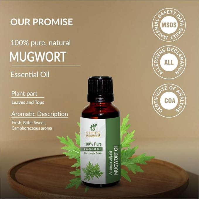 Mugwort Oil 15 ML (0.51 Fl.OZ) | 100% Pure Natural Undiluted Uncut Therapeutic Grade Artemisia Vulgaris Essential Oil