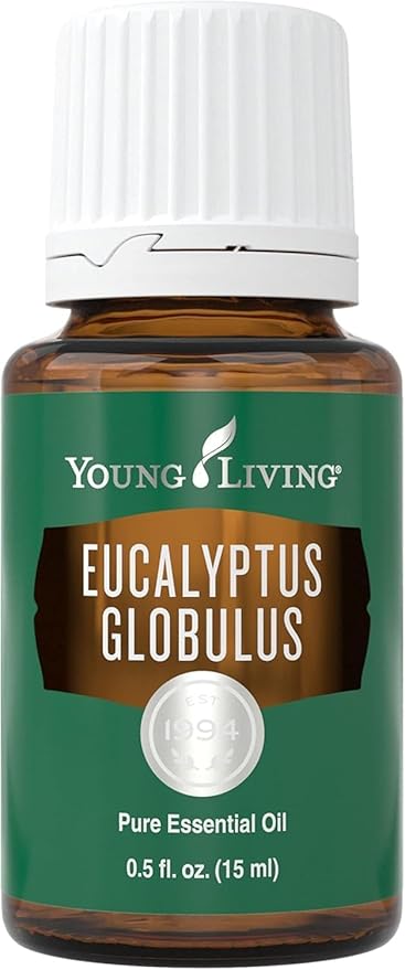 Young Living Eucalyptus Globulus Essential Oil, 15ml | Natural & Organic | Soothing & Cooling Aroma | Skin Massage | Spa-Like Aromatherapy | Can Be Inhaled or Diffused | Vegan & Gluten-Free