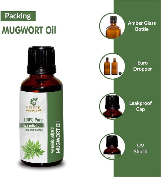 Mugwort Oil 15 ML (0.51 Fl.OZ) | 100% Pure Natural Undiluted Uncut Therapeutic Grade Artemisia Vulgaris Essential Oil