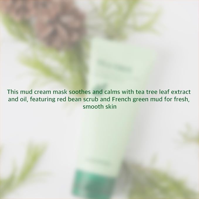 Papa Recipe Kaolin Mud Mask with Eggplant Extract – Hydrating Creamy Clay Mask for Pore Care, Gentle Exfoliation & Daily Use – With 6 Types of Hyaluronic Acid & Cica – Korean Skincare (Tea Tree Mud)