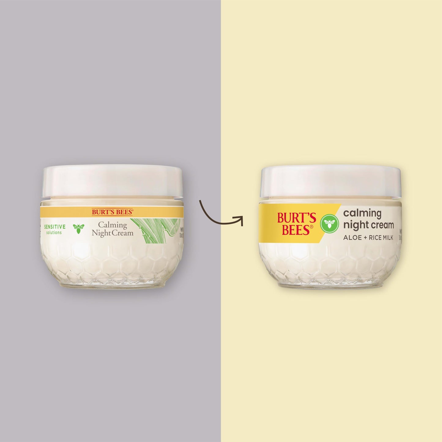 Burt's Bees Back To School Dorm Essentials, Calming Night Cream, With Aloe and Rice Milk, Face Moisturizer For Sensitive Skin, 98.8 Percent Natural Origin, 1.8 oz. Tub