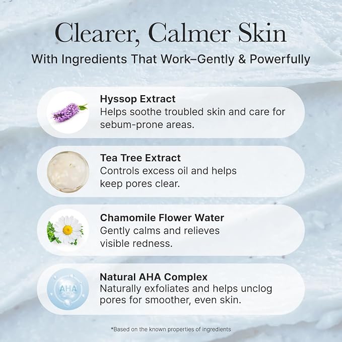 Hyssop Sebum Control Rice Cake Cleanser, 5.29 oz, AHA Tea Tree Face Wash for Oily Combination Skin
