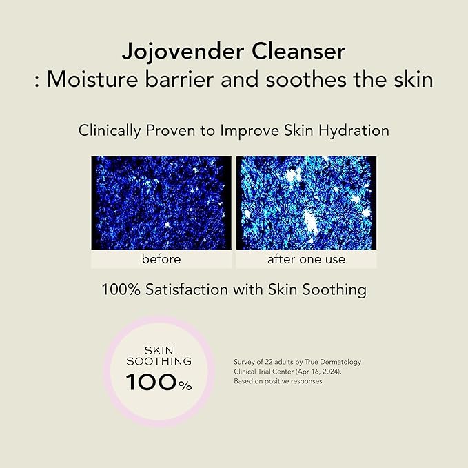 Whipped Korean Skincare Face Wash, Moisturizing Vegan Cream Facial Cleanser for Redness, Dry Skin with Niacinamide, Hyaluronic Acid, Ceramide, Jojoba & Lavender, Doubles as a Face Mask, 4.5 oz
